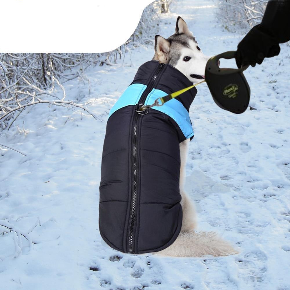 pet products Dog Winter Jacket 2Xl Blue