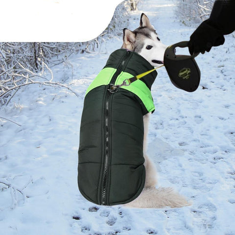 pet products Dog Winter Jacket 2Xl Green