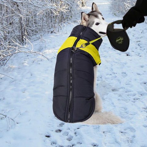 pet products Dog Winter Jacket 2Xl Orange
