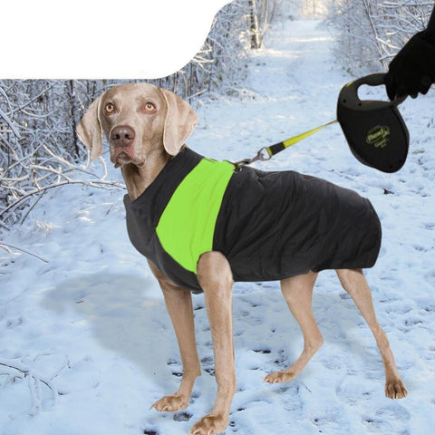 pet products Dog Winter Jacket 3Xl Green