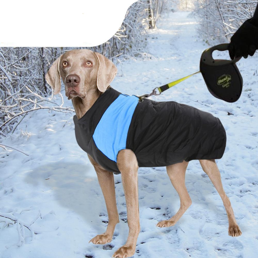 pet products Dog Winter Jacket 4Xl Blue