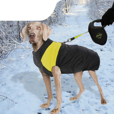 pet products Dog Winter Jacket 4Xl Orange
