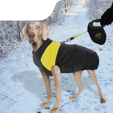 pet products Dog Winter Jacket 5Xl Yellow