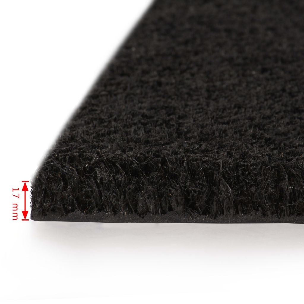 Doormat Coir 17 mm 100x100 cm Black