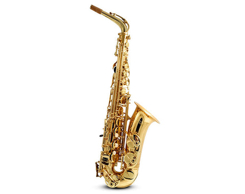 E Flat Alto Saxophone Brass Body Student