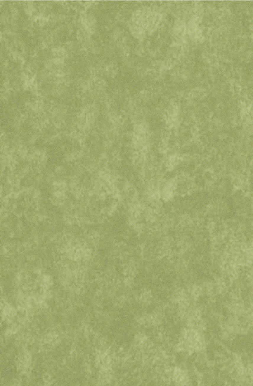 Floor Rug Elegance classy rug brown