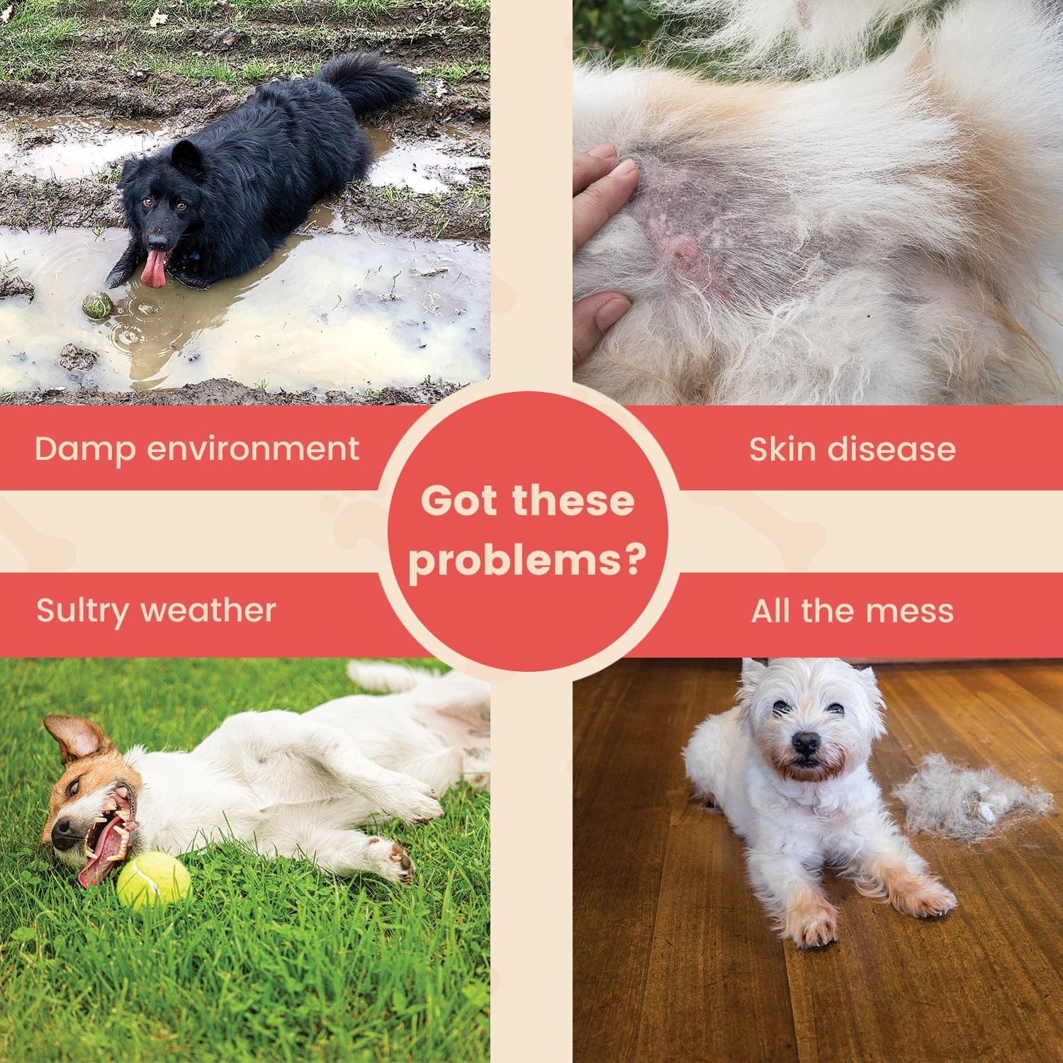 Elevated Camping Pet Bed XL Army