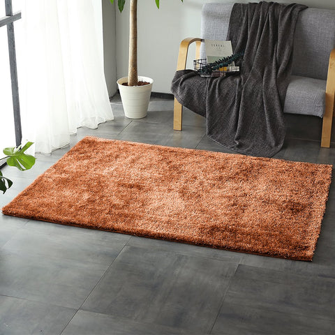 Living Room Floor Rugs Carpet Anti-Slip Living Room Mat