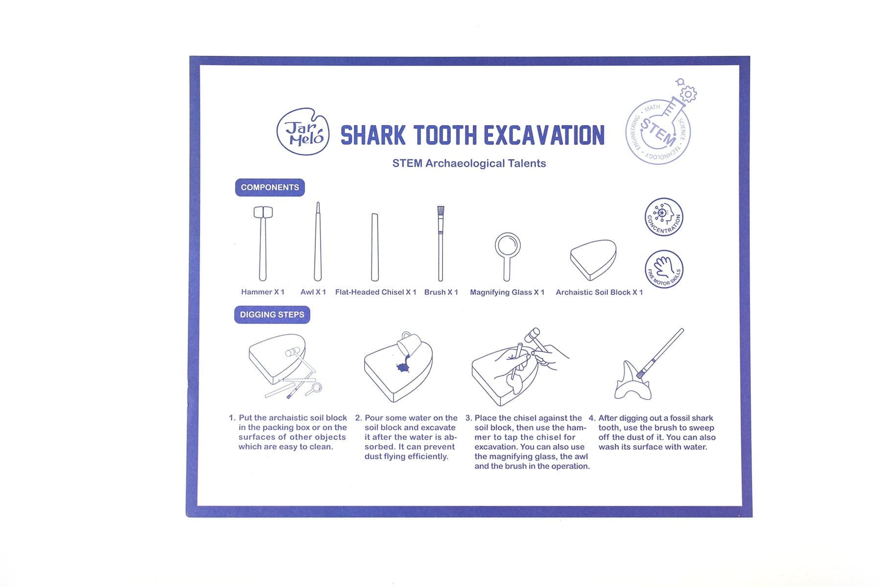 Fossils Excavation Kit - Shark