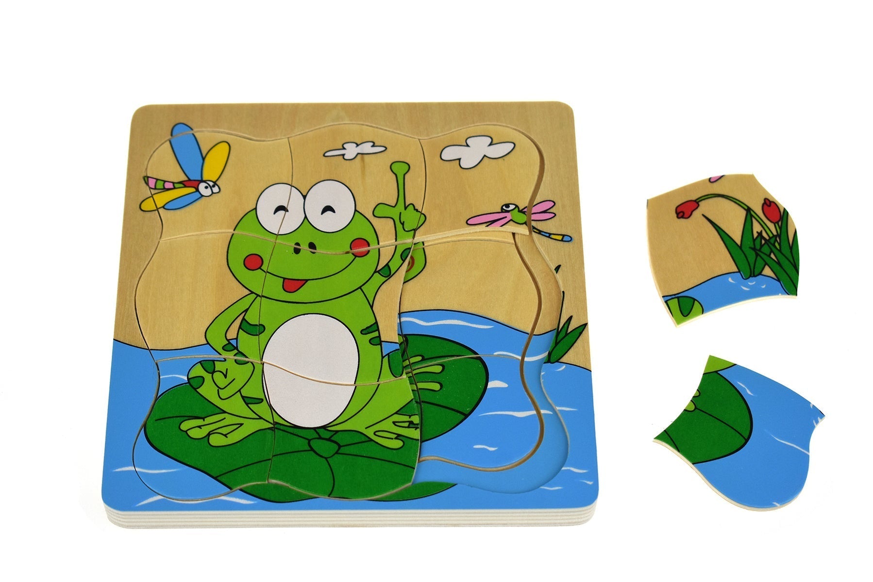 Frog Lifecycle 4 Layers Puzzle