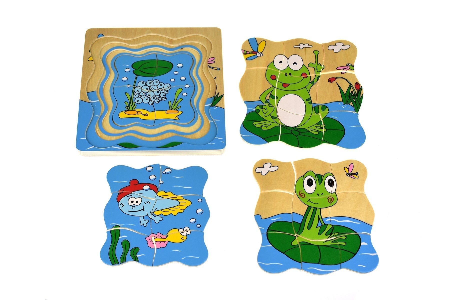 Frog Lifecycle 4 Layers Puzzle