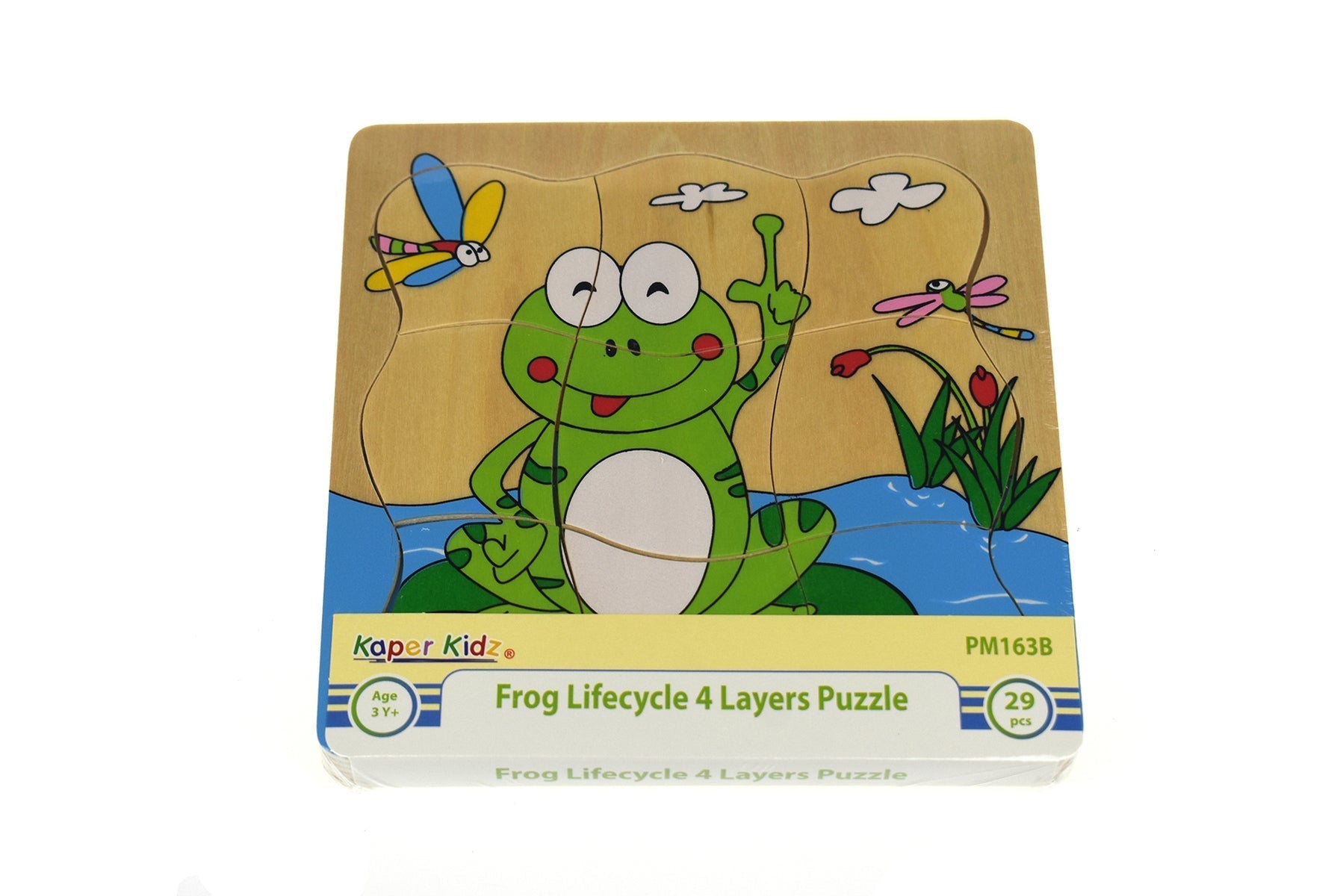 Frog Lifecycle 4 Layers Puzzle