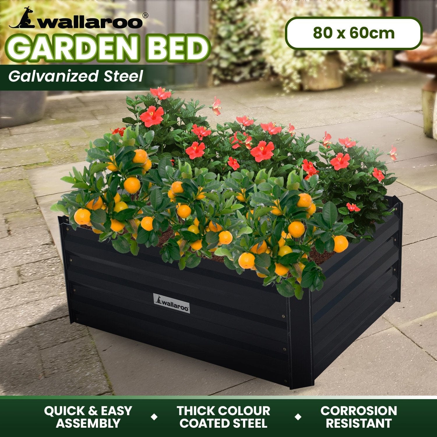 Garden Bed 80 x 60 x 30cm Galvanized Steel - Black