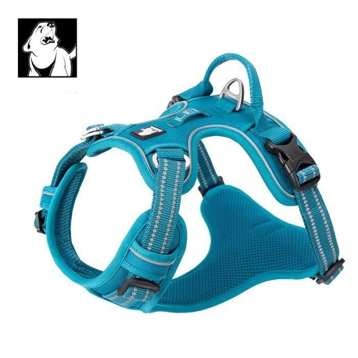 L High Density NYLON Pull Harness Blue