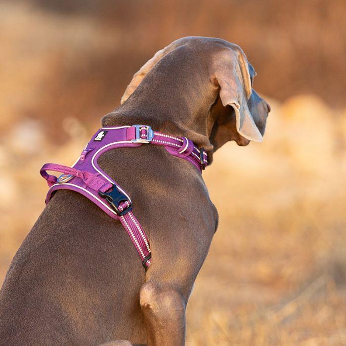 Xl High Density NYLON Pull Harness Purple