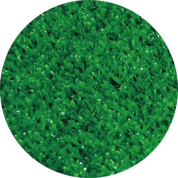 Golf Indoor Practice Putting Green 2.5m Mat