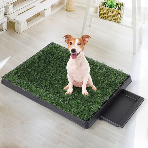 Grass Potty Indoor Toilet Artificial Trainer Portable Dog Pad