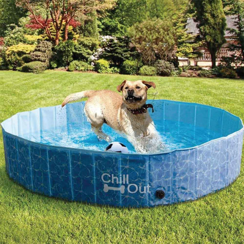 Large Plastic Dog Swimming Pool - Chill Out & Have Fun