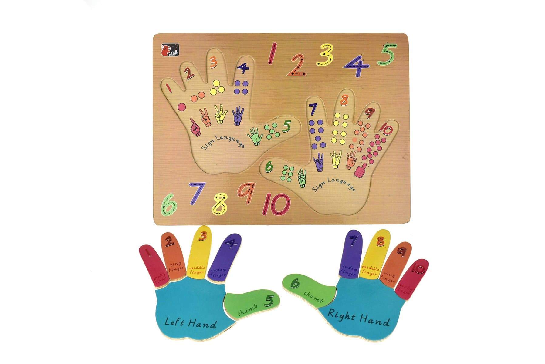 toys for above 3 years above Left & Right Hand Puzzle