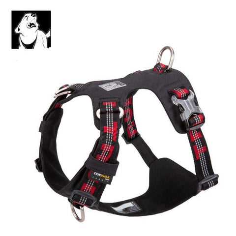 Lightweight 3M reflective Harness Black