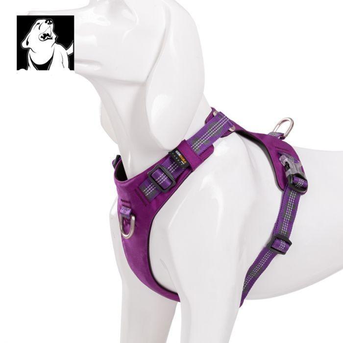 Xl Lightweight 3M reflective Harness Purple