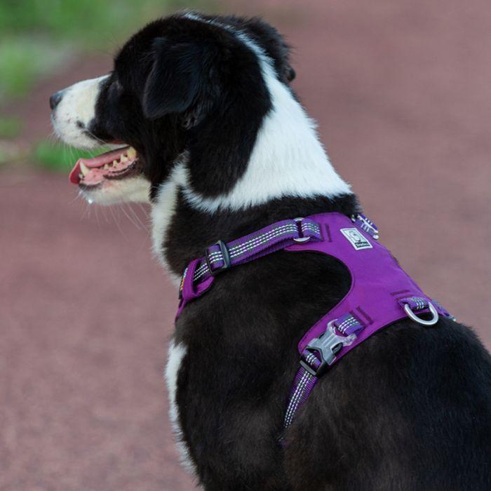 XS Lightweight 3M reflective Harness Purple