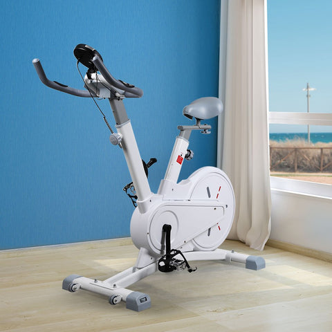 Spin Bike Magnetic Fitness Exercise Bike