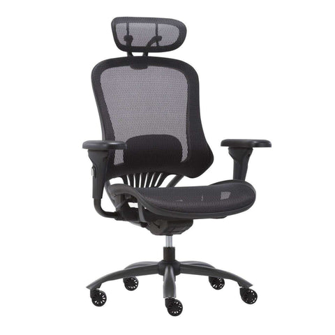 Mech Ergonomic Mesh Executive Chair With 2D Armrest