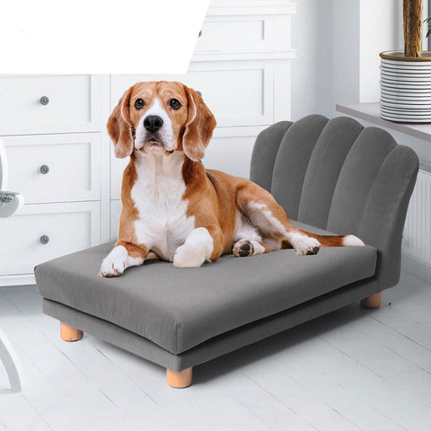 Beds Modern style Cat Dog Beds Couch Soft Grey