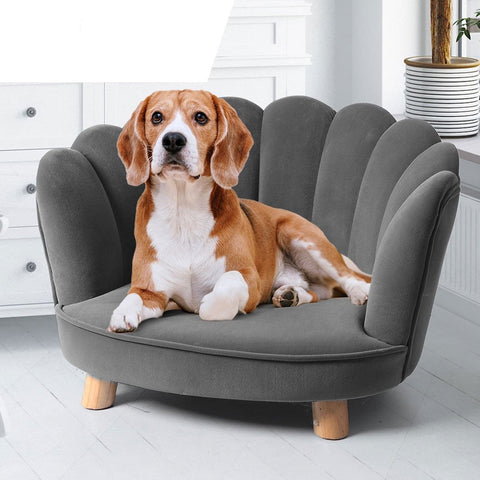 Beds Modern style Pet Lounge Sofa Soft Grey