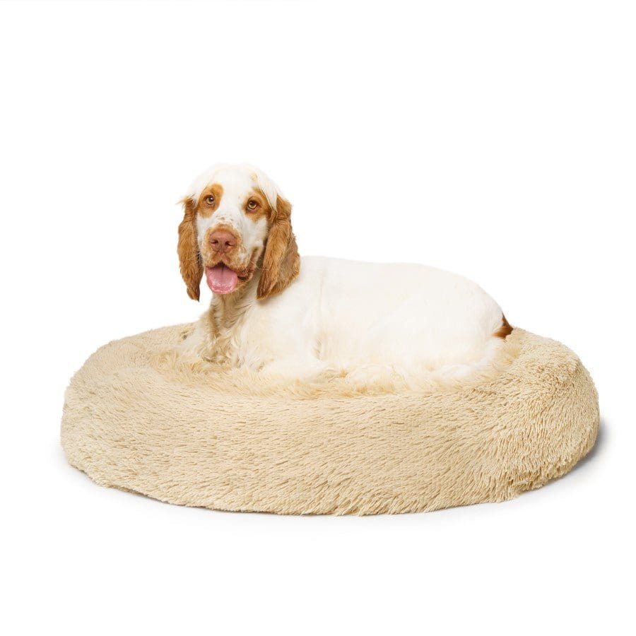 "Nap Time" Calming Dog Bed - Medium