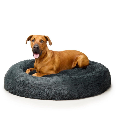 "Nap Time" Calming Dog Bed - XL