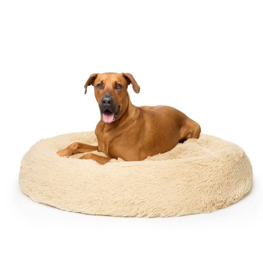 "Nap Time" Calming Dog Bed - XL