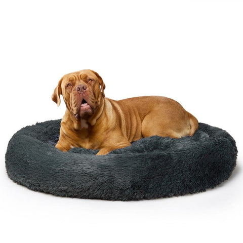 "Nap Time" Calming Dog Bed - XXL