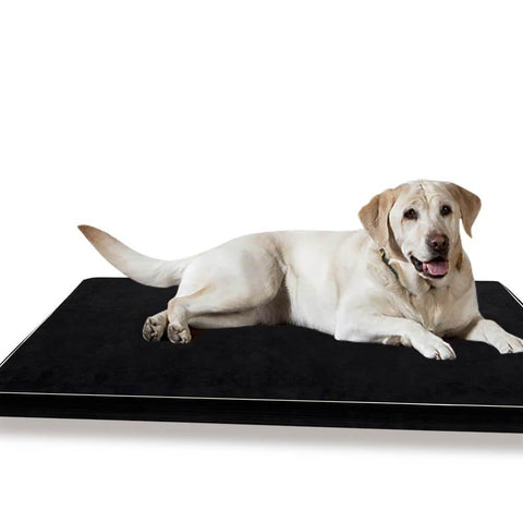 pet products Pet Bed Cushion Cover Mat Soft Calming Pillow 5cm