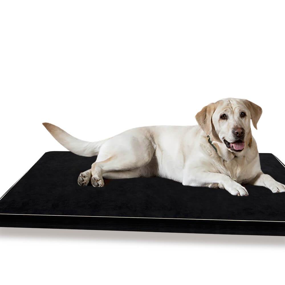 pet products Pet Bed Dog Pillow Mat Puppy Bedding 5Cm
