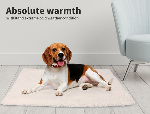 Pet Bed Pad Soft Plush Pillow Mat L