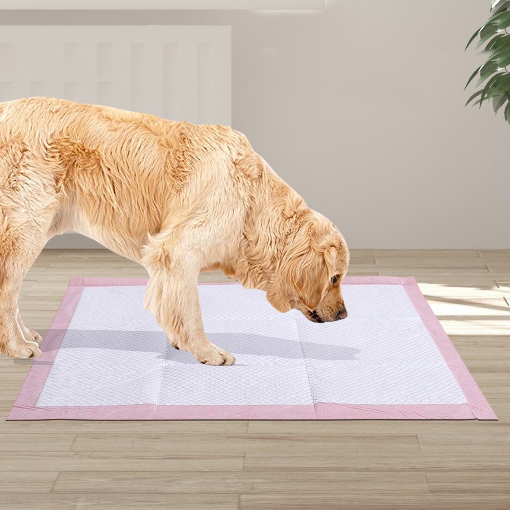 pet products Pet Training Pads 100Pcs
