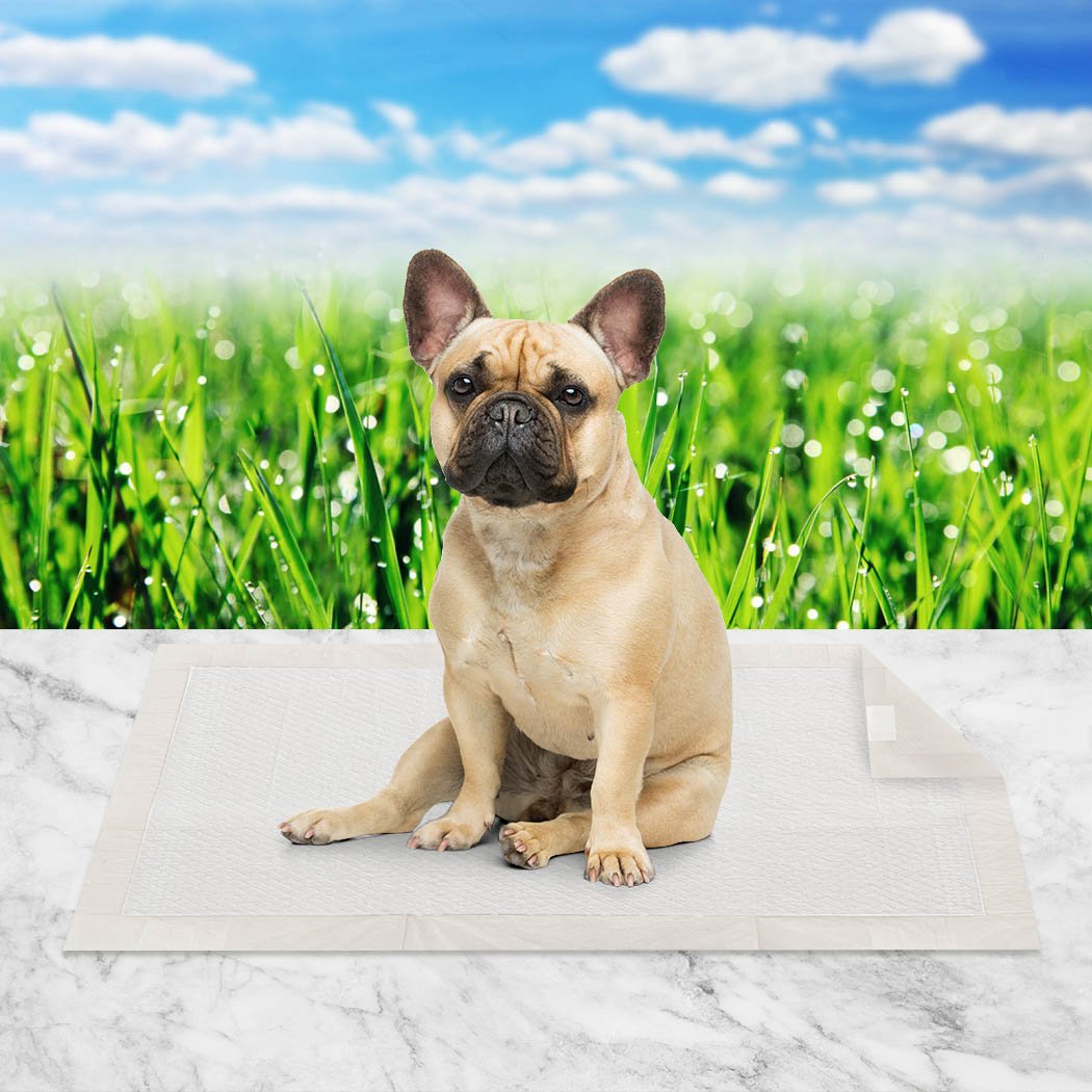 pet products Pet Training Pads 100Pcs