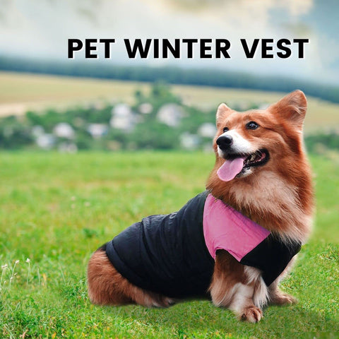 Pet Winter Vest 2XL Blue