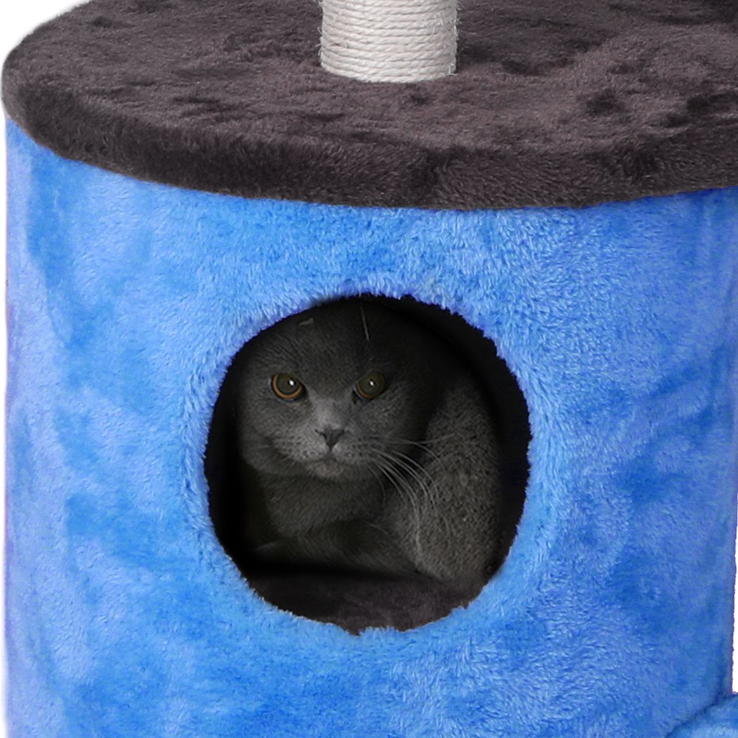 Cat Tree Play Pet Activity Kitty Bed-Blue