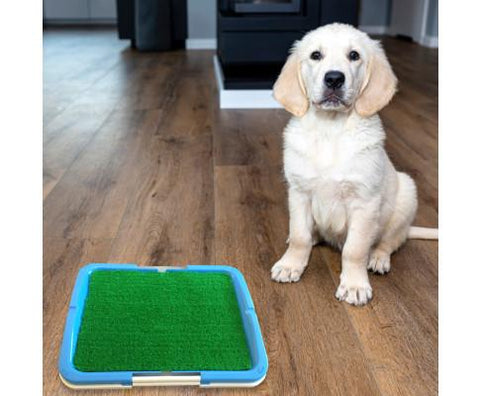 Dog Supplies Portable Puppy Pet Toilet