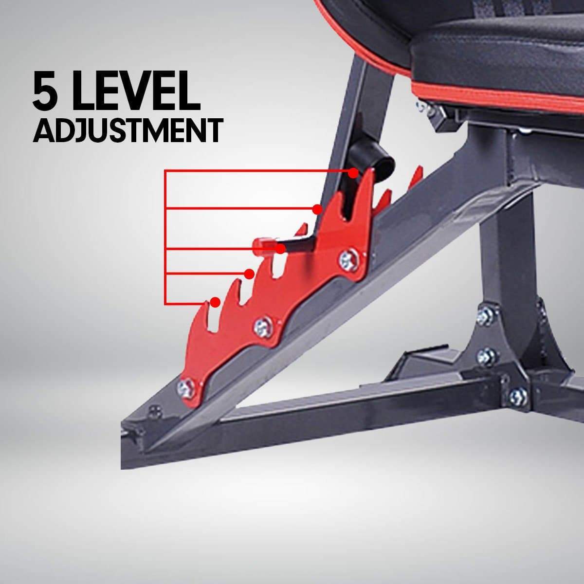 Powertrain Home Gym Bench Press Incline Decline Preachers Curl