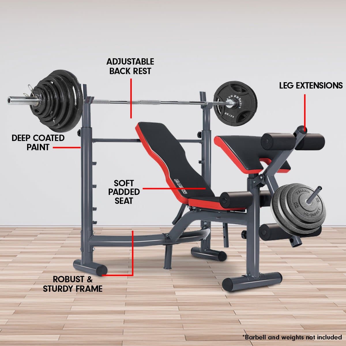 Powertrain Home Gym Bench Press Incline Decline Preachers Curl Exercise