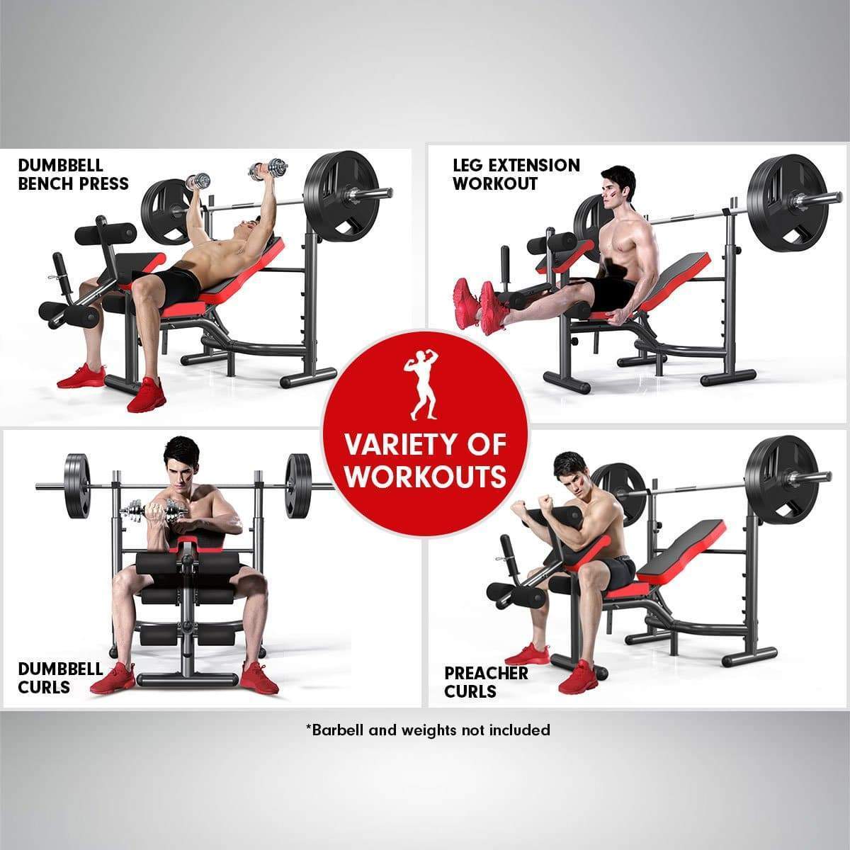 Powertrain Home Gym Bench Press Incline Decline Preachers Curl Exercise