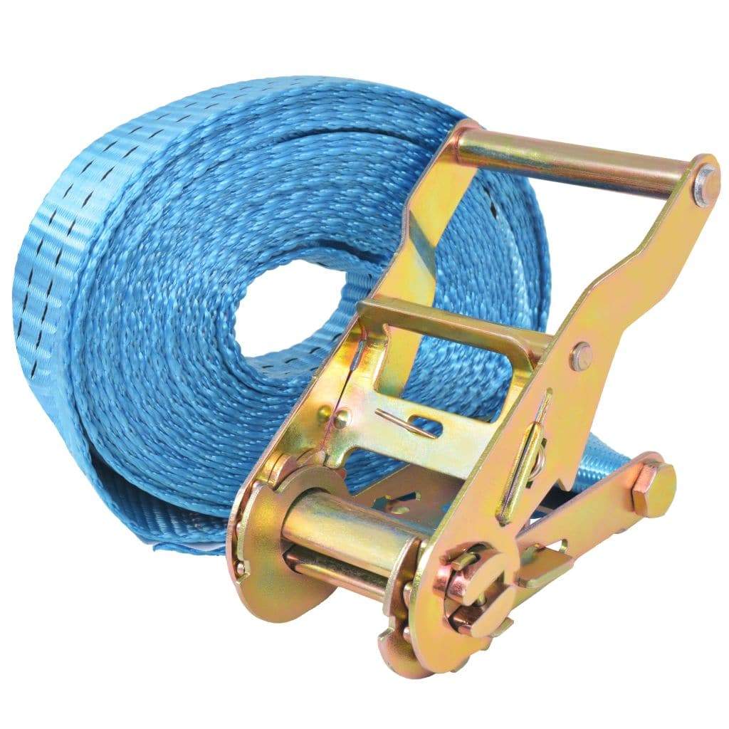 vidaxl20- Ratchet Tie Down Straps 4 pcs 2 Tonnes 6mx38mm Blue