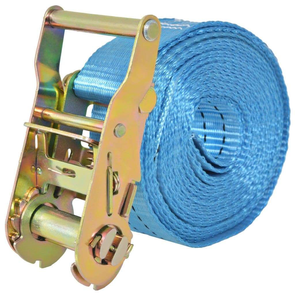 vidaxl20- Ratchet Tie Down Straps 4 pcs 2 Tonnes 6mx38mm Blue