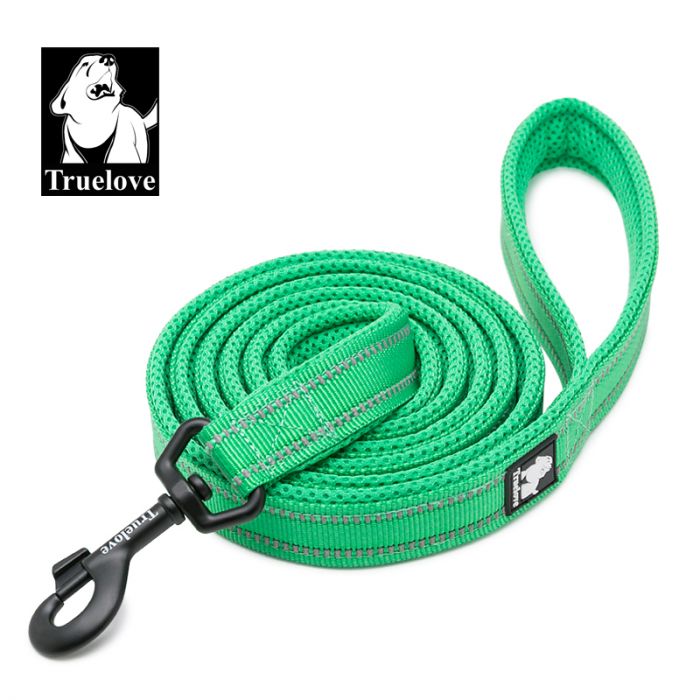 M Reflective Pet Leash 2 meters Green