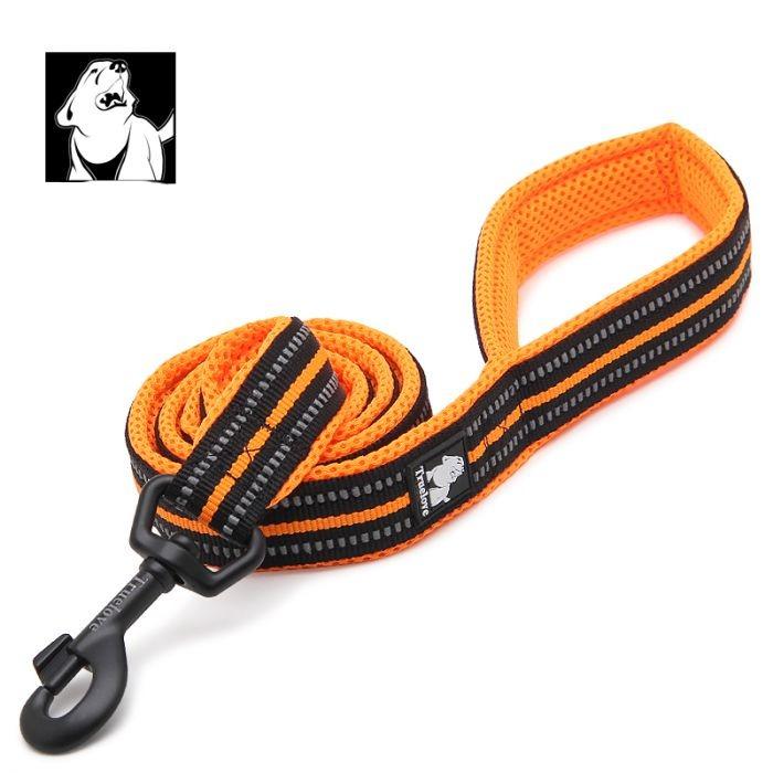XS Reflective Pet Leash 2 meters orange
