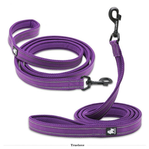 L Reflective Pet Leash 2 meters Purple